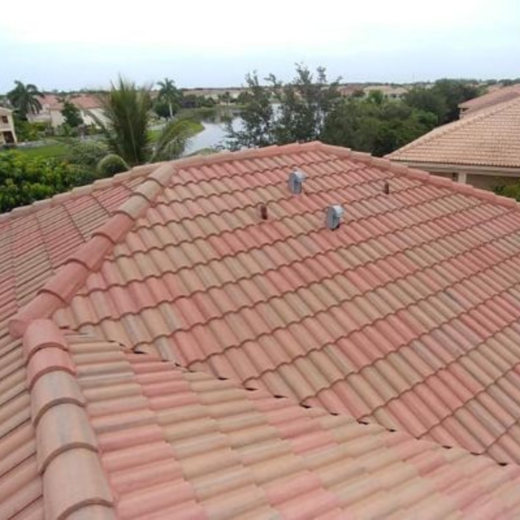 Tile Roof Cleaning
